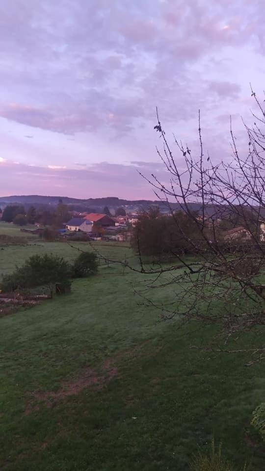Gite Le Charme D'Argent Charmois-devant-Bruyeres Exteriér fotografie